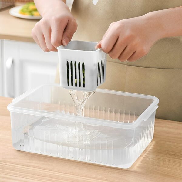 Fresh Keeper 6 Grid Herb & Veggie Saver Box - Image 2